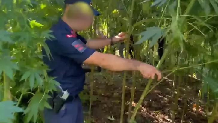 Sakarya’da Kaçakçılık ve Uyuşturucu Operasyonu